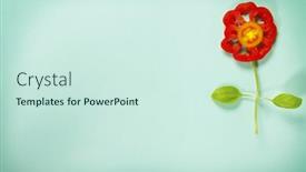  Presentation with cute vegetables - 