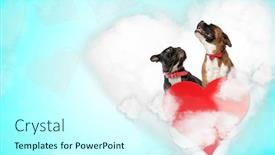  Presentation with boxer dog - Cool new slides with cute-french-bulldog-dog-looking backdrop and a cool aqua colored foreground