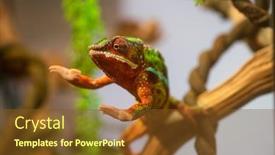  Presentation with friendly - PPT theme featuring cute-friendly-chameleon-welcomes-gesture background and a tawny brown colored foreground
