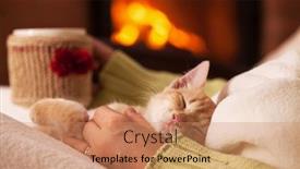  Presentation with relaxation - Beautiful theme featuring cute-ginger-kitten-in-total backdrop and a coral colored foreground