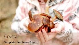  Presentation with holding hands - Theme with cute-girl-holding-boletus-edulis background and a coral colored foreground