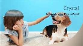  Presentation with carpet - Beautiful theme featuring cute girl with dog lying on carpet near color wall backdrop and a arctic colored foreground