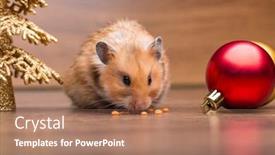  Presentation with santa - Slide deck featuring cute hamster with santa hat background and a coral colored foreground