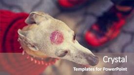  Presentation with lipstick kiss - Colorful presentation design enhanced with cute italian greyhound dressed backdrop and a coral colored foreground