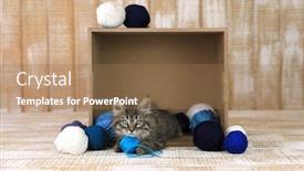  Presentation with yarn - Cool new slide set with cute-kitten-in-a-box backdrop and a coral colored foreground