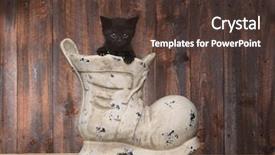  Presentation with shoe - Colorful presentation theme enhanced with cute kitten in an old boot shoe on wood background backdrop and a tawny brown colored foreground