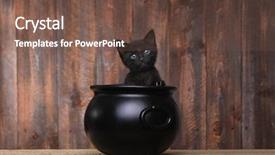  Presentation with hello kitty cute little kitten - Audience pleasing presentation design consisting of cute kitten in halloween cauldron backdrop and a  colored foreground