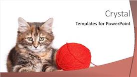  Presentation with thread - Presentation design featuring cute kitten playing red clew of thread isolated on white background background and a white colored foreground