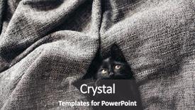  Presentation with lays - Audience pleasing PPT theme consisting of cute little black kitten lays down on grey blanket backdrop and a dark gray colored foreground