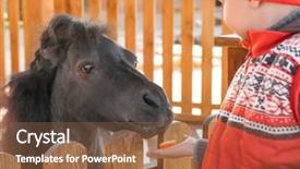  Presentation with babies feeding - Beautiful PPT theme featuring cute little boy feeding pony backdrop and a tawny brown colored foreground