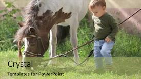  Presentation with poultry farm biology - Slide set enhanced with cute little boy with horse background and a mint green colored foreground