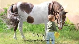  Presentation with poultry farm biology - Beautiful slide set featuring cute little boy with horse backdrop and a  colored foreground