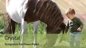  Presentation with farm aimal - Presentation theme with cute little boy with horse background and a mint green colored foreground