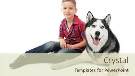  Presentation with husky - Beautiful PPT layouts featuring cute little boy with husky dog on white background backdrop and a soft green colored foreground