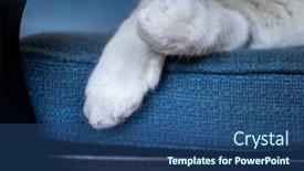  Presentation with sleeping - Audience pleasing PPT theme consisting of cute-little-cat-paws-sleeping backdrop and a ocean colored foreground