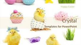  Presentation with chicken - Colorful slide set enhanced with cute little chicken and easter backdrop and a soft green colored foreground