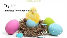  Presentation with cute - Slide deck having cute little chicken coming background and a white colored foreground