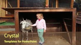  Presentation with feeding tube - Audience pleasing slide deck consisting of cute little girl feeding funny backdrop and a tawny brown colored foreground