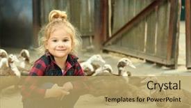 Presentation with poultry breeding - Slides having cute little girl on poultry background and a coral colored foreground