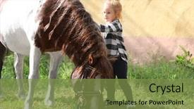 Presentation with poultry farm biology - Colorful slide deck enhanced with cute little girl with horse backdrop and a tawny brown colored foreground