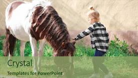  Presentation with farm - Colorful slide deck enhanced with cute little girl with horse backdrop and a seafoam green colored foreground