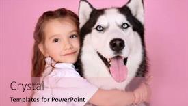  Presentation with husky - PPT theme consisting of cute little girl with husky dog on color background background and a coral colored foreground