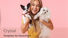  Presentation with cheerful - Beautiful presentation theme featuring cute lovely cheerful girl playing with her pet chihuahua and lapdog isolated over pink background backdrop and a coral colored foreground