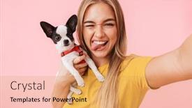  Presentation with pet - Colorful presentation theme enhanced with cute lovely cheerful girl taking a selfie while playing with her pet chihuahua isolated over pink background backdrop and a yellow colored foreground