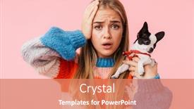  Presentation with pet - Presentation design having cute lovely confused girl playing with her pet chihuahua isolated over pink background background and a coral colored foreground