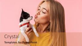  Presentation with pet - Presentation theme featuring cute lovely girl playing with her pet chihuahua isolated over pink background background and a gold colored foreground