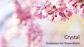  Presentation with bud - Cool new PPT theme with cute new flower bud backdrop and a lemonade colored foreground