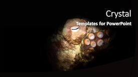  Presentation with octopus - PPT theme featuring cute-octopus-rests-motionless background and a black colored foreground
