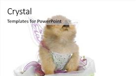  Presentation with angel - Audience pleasing slides consisting of young businessman holding earth planet in palm elements of this image are furnished by nasa backdrop and a dark gray colored foreground