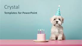  Presentation with cake dog - PPT theme featuring cute-puppy-dog-celebrating background and a lemonade colored foreground