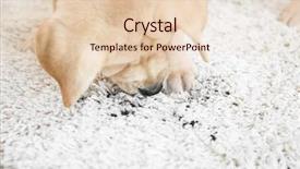  Presentation with dirt dirt texture dirty - Presentation design featuring cute puppy on dirty rug background and a lemonade colored foreground