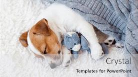 Presentation with sleeping - Slide set consisting of cute-puppy-sleeping and a  colored foreground