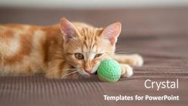  Presentation with attention - Beautiful slides featuring cute-red-kitten-lies backdrop and a violet colored foreground