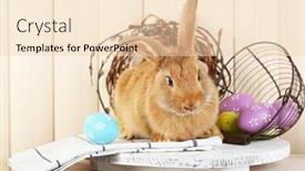  Presentation with rabbit - Beautiful PPT theme featuring cute red rabbit with easter eggs on shelf on wooden wall background backdrop and a lemonade colored foreground