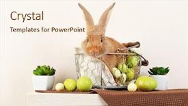  Presentation with rabbit - Colorful PPT layouts enhanced with cute red rabbit with easter eggs on shelf on light wallpaper background backdrop and a cream colored foreground