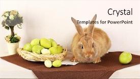 Presentation with rabbit - Audience pleasing presentation theme consisting of cute red rabbit with easter eggs on shelf on light wallpaper background backdrop and a cream colored foreground