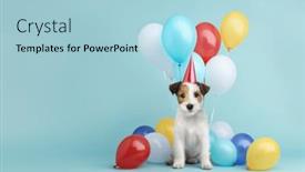  Presentation with cute birthday - Slide deck featuring cute-scruffy-puppy-dog-wearing background and a light blue colored foreground