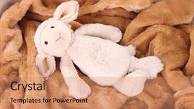  Presentation with counting sheep - Beautiful theme featuring cute sheep toy backdrop and a coral colored foreground