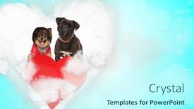  Presentation with boxer dog - Amazing PPT layouts having cute-spitz-dog-wearing backdrop and a cool aqua colored foreground