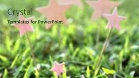  Presentation with cute stars - Slide set having cute-stars-paper-card-grassplot background and a mint green colored foreground