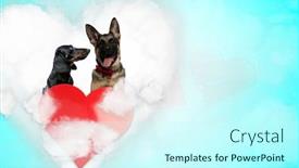  Presentation with blue eyes - Slides with cute-teckel-dog-looking-aside background and a cool aqua colored foreground