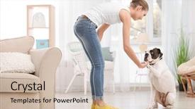  Presentation with boxer dog - Audience pleasing slide deck consisting of cute white boxer dog backdrop and a soft green colored foreground