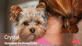  Presentation with cute - Slide deck having cute yorkshire terrier peeking from around a woman background and a coral colored foreground