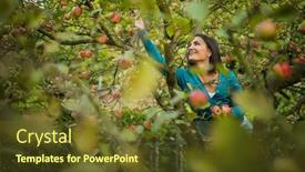  Presentation with orchard - Theme enhanced with cute-young-woman-picking-apples background and a tawny brown colored foreground