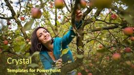 Presentation with orchard - Slide deck with cute-young-woman-picking-apples background and a tawny brown colored foreground