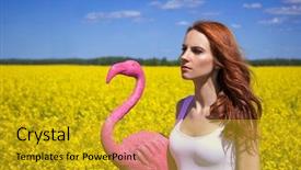  Presentation with flamingo - PPT layouts consisting of cute young woman walking background and a gold colored foreground